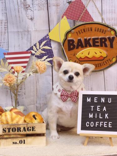 20240919ポロくん